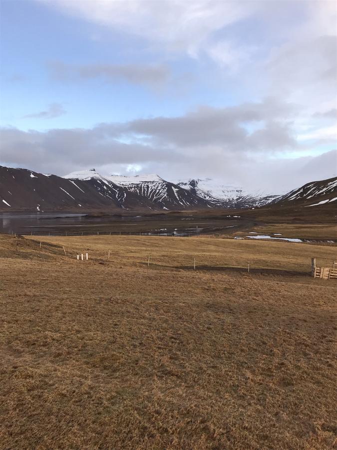 Eithi Farmhouse Grundarfjordur Exterior foto